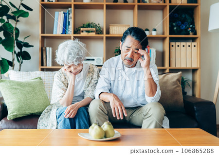 Senior couple worried in the living room 106865288