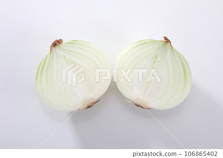 onion onion 106865402