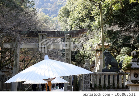Kotohira Shrine is a difficult place to climb stairs. 106865531