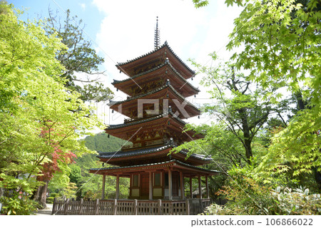 京都府木津川市海十仙寺五層塔鴨町 106866022