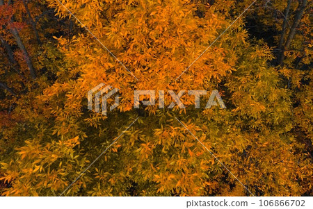 Autumn Wisconsin in USA Autumn Wisconsin in USA 106866702