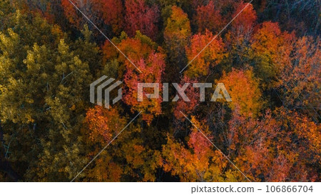 Autumn Wisconsin in USA Autumn Wisconsin in USA 106866704