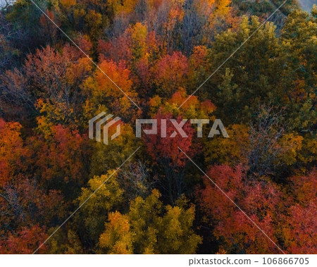 Autumn Wisconsin in USA 106866705