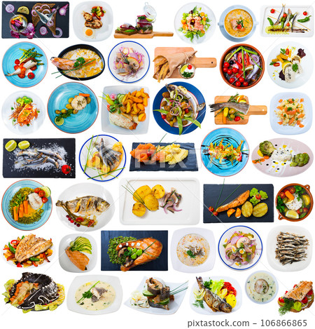 Set of assorted dishes with fish 106866865
