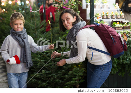 Mother and preteen son choosing New Year fir tree on outdoor fair 106868023