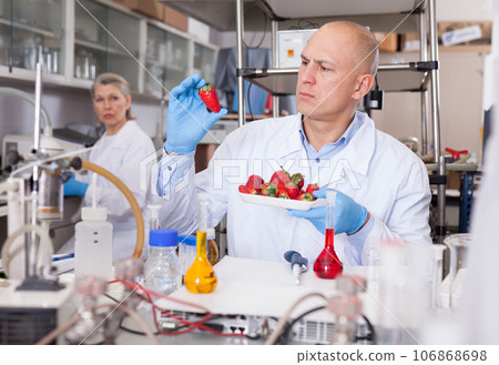 Scientist checking agricultural products 106868698