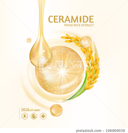 ceramide from rice extract serum Skin Care Cosmetic 106869038