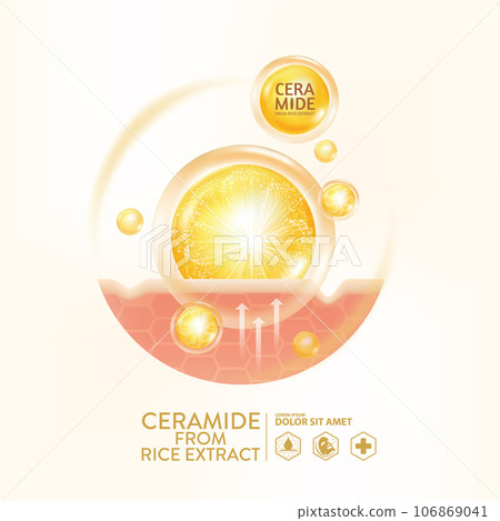 ceramide from rice extract serum Skin Care Cosmetic ceramide from rice extract serum Skin Care Cosmetic 106869041