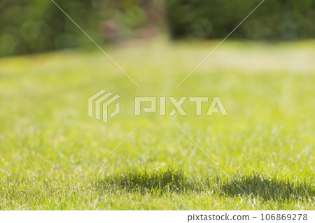 Background material for synthesis with shadow on the lawn (AI generated image) Background material for synthesis with shadow on the lawn (AI generated image) 106869278
