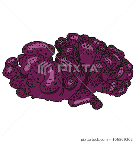 Coral reef  106869302