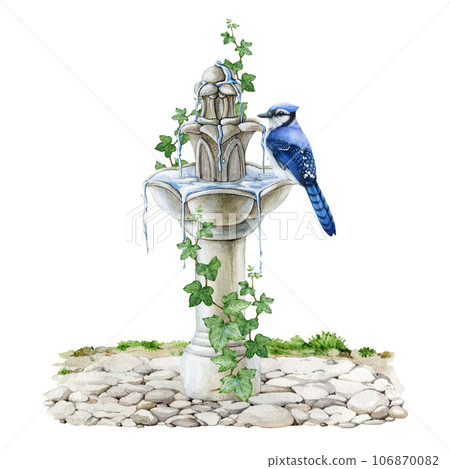 Garden decorative fountain with ivy vines and blue jay on it. Watercolor illustration. Vintage style white marble outdoor fountain on a pebble ground. Blue jay perched on a garden decor Garden decorative fountain with ivy vines and blue jay on it. Watercolor illustration. Vintage style white marble outdoor fountain on a pebble ground. Blue jay perched on a garden decor 106870082