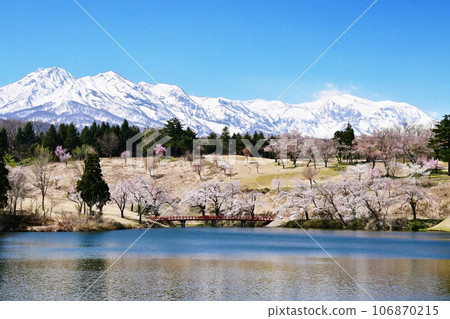 Scenery of cherry blossoms and Mt. Myoko, Matsugamine Pond with cherry blossoms, Niigata sightseeing spot, Niigata Top 100 Scenic Spots Scenery of cherry blossoms and Mt. Myoko, Matsugamine Pond with cherry blossoms, Niigata sightseeing spot, Niigata Top 100 Scenic Spots 106870215