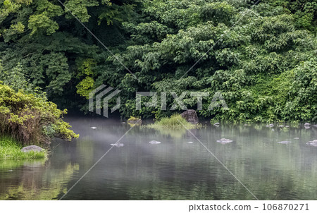 Hakenomiya Park with beautiful water that blooms during the rainy season Hakenomiya Park with beautiful water that blooms during the rainy season 106870271