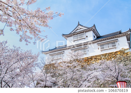 Okayama Tsuyama Castle ~Bicchu turret and cherry blossoms in full bloom~ 106870819