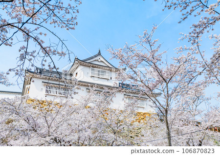 Okayama Tsuyama Castle ~Bicchu turret and cherry blossoms in full bloom~ 106870823