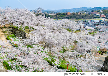 Okayama Tsuyama Castle and Tsuruyama Park in full bloom of cherry blossoms Okayama Tsuyama Castle and Tsuruyama Park in full bloom of cherry blossoms 106870917
