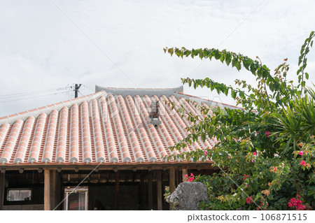 Taketomi Island Water Buffalo Cart Sightseeing Taketomi Island Water Buffalo Cart Sightseeing 106871515
