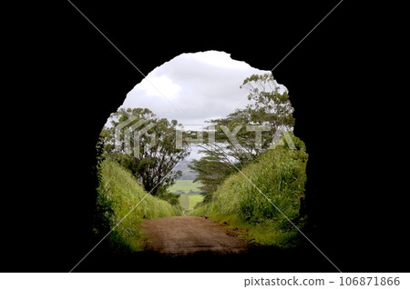 Kauai lava tube - the entrance Kauai lava tube - the entrance 106871866