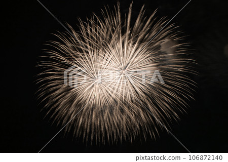 Fireworks 106872140