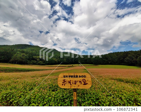 2023 紅蕎麥村 4 106872341