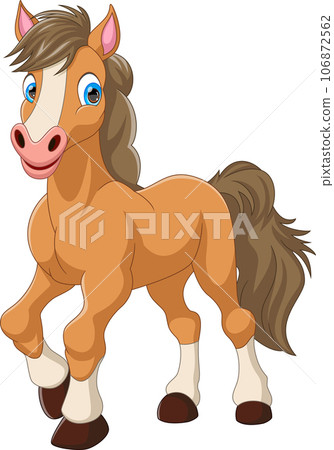 cute horse cartoon cute horse cartoon 106872562