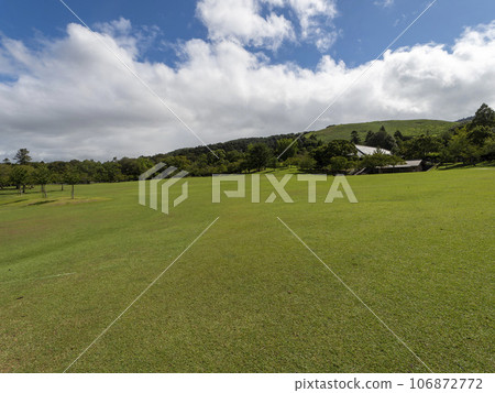 Nara Park Kasuganoenchi with a wide expanse of fresh green grass Nara Park Kasuganoenchi with a wide expanse of fresh green grass 106872772