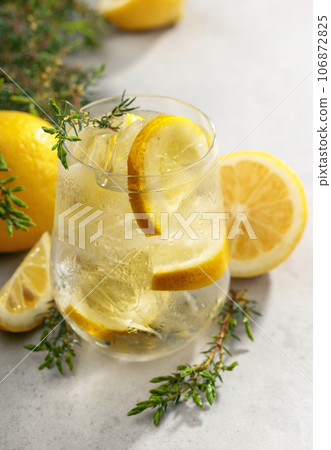 Cocktail Gin-tonic with ice, lemon, and juniper branches. Cocktail Gin-tonic with ice, lemon, and juniper branches. 106872825