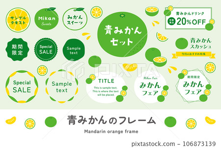 一組藍色柑橘和早期柑橘的插圖和框架裝飾。簡單可愛的矢量設計素材。 106873139