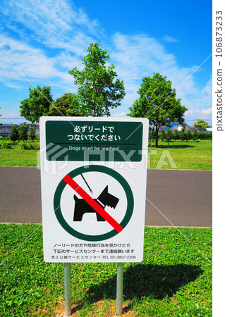 Scenery inside Metropolitan Toneri Park (Adachi Ward, Tokyo) Scenery inside Metropolitan Toneri Park (Adachi Ward, Tokyo) 106873233