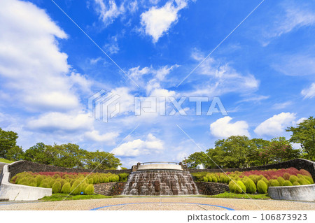 宮城縣川崎町道奧森湖畔公園色彩斑斕的廣場上的地膚漸變 106873923
