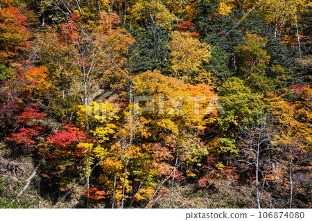 [Hokkaido/Lake Shikotsu] Lake Shikotsu blue and surrounding autumn leaves in October 106874080