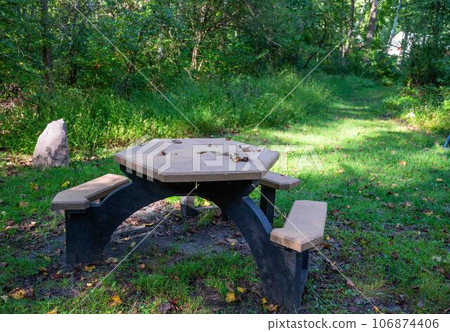 Picnic table and benches in the woods on hiking trail Picnic table and benches in the woods on hiking trail 106874406