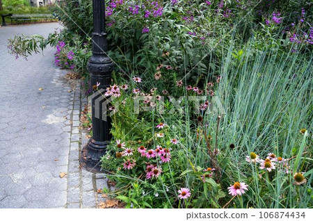 Antique ornate lamp post in New York city park with path lush garden 106874434