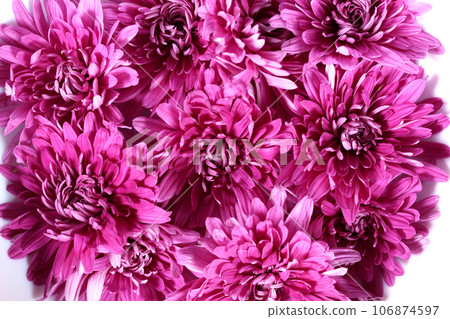 漂浮在水中的食用菊花 106874597