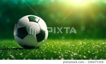 Soccer ball with fairway background 106875308