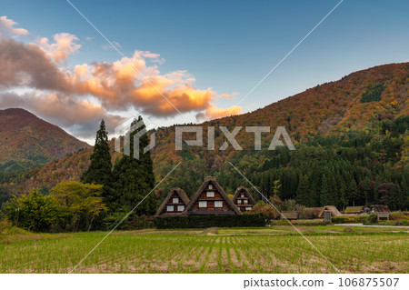 Shirakawago village Gifu Japan, Historical Japanese traditional Gassho house at Shirakawa village in autumn foliage season Shirakawago village Gifu Japan, Historical Japanese traditional Gassho house at Shirakawa village in autumn foliage season 106875507