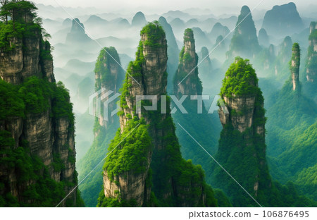 Mountain landscape in Forest Mountain landscape in Forest 106876495