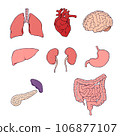 Organ 106877107