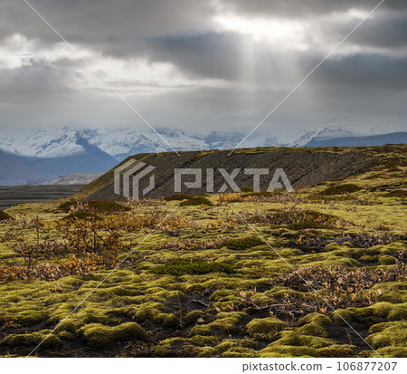 Iceland autumn tundra landscape near Haoldukvisl glacier, Iceland. Glacier tongue slides from the Vatnajokull icecap or Vatna Glacier near subglacial Esjufjoll volcano. Not far from Iceland Ring Road. 106877207