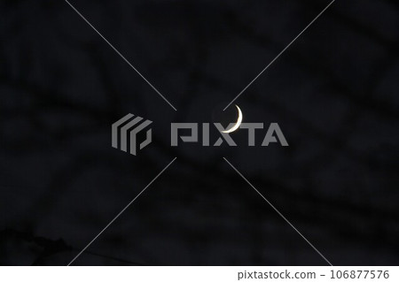 Crescent Moon Crescent Moon 106877576