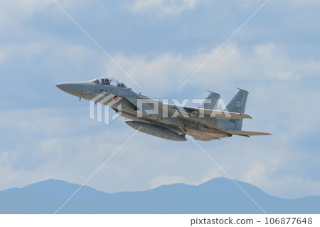 Air Self-Defense Force 303rd Squadron F-15DJ Eagle Air Self-Defense Force 303rd Squadron F-15DJ Eagle 106877648