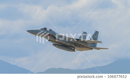 Air Self-Defense Force 303rd Squadron F-15DJ Eagle Air Self-Defense Force 303rd Squadron F-15DJ Eagle 106877652
