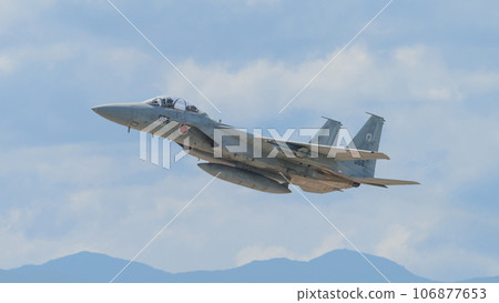 航空自衛隊第303中隊F-15DJ鷹 106877653