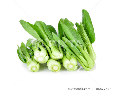 Bok choy (chinese cabbage) isolated on white. Bok choy (chinese cabbage) isolated on white. 106877678