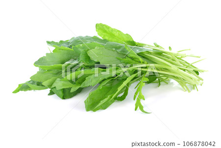 Wild Rocket in a heap isolated on a white background 106878042