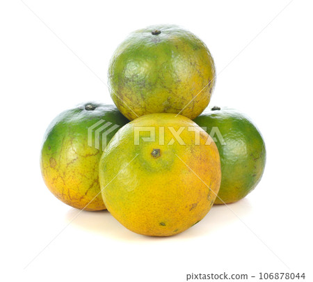 tangerine citrus fruit isolated on white background. tangerine citrus fruit isolated on white background. 106878044