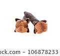 cloves on white background 106878233