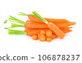 carrots isolated on a white background 106878237