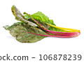 lettuce vegetable isolated on white background 106878239