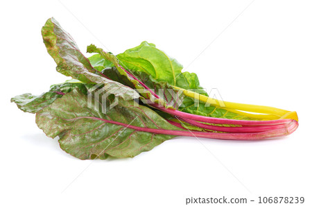 lettuce vegetable isolated on white background lettuce vegetable isolated on white background 106878239